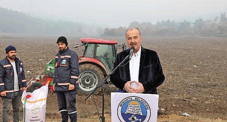Mudanya Belediyesi Buğday Tohumlarını Toprakla Buluşturdu