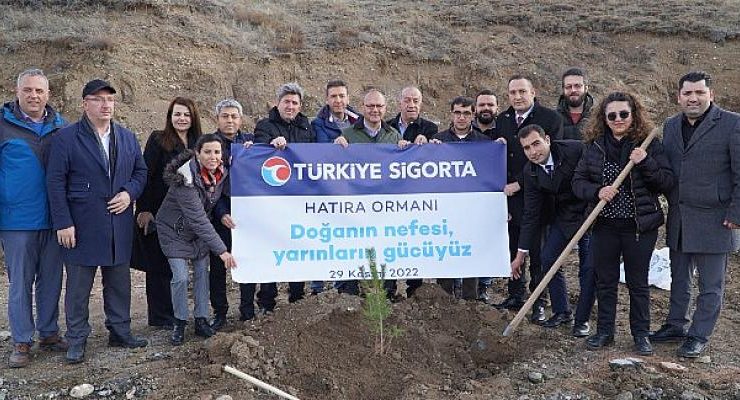 Türkiye Sigorta Ormanı Sivas’ta yeşerecek