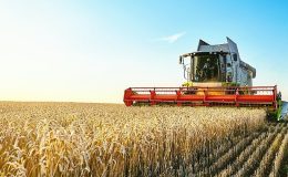 Türkiye Kalkınma ve Yatırım Bankası'ndan Türkiye Sosyal Etki Ekosisteminde bir ilk daha: Buğday Fiyatına Endeksli Sukuk İhracı